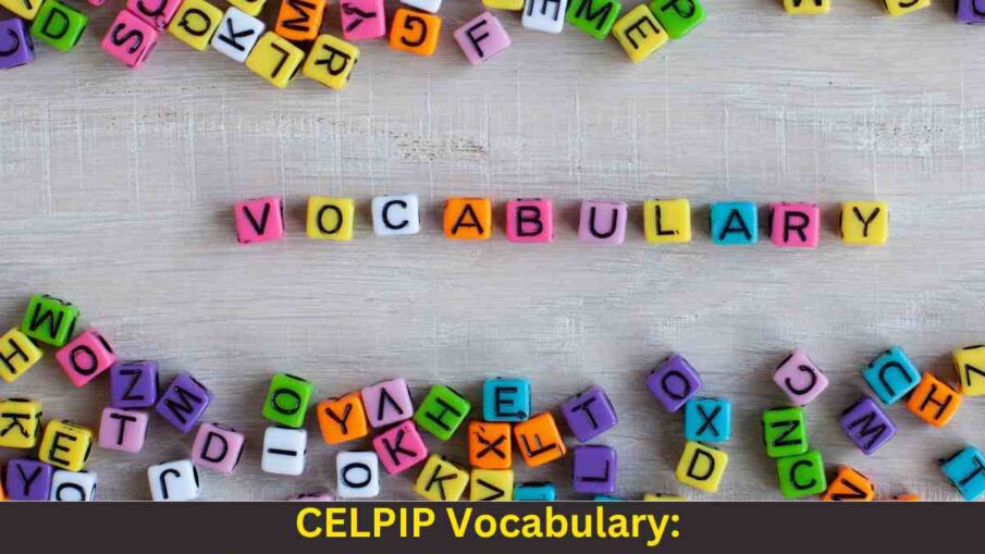 CELPIP Vocabulary: Essential Words and Phrases
