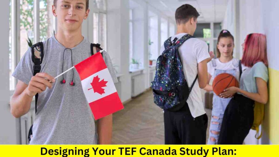 Designing Your TEF Canada Study Plan: A Step-by-Step Guide