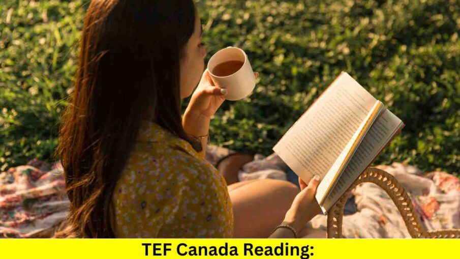 TEF Canada Reading: Tackling Challenging Texts