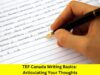 TEF Canada Writing Basics: Articulating Your Thoughts