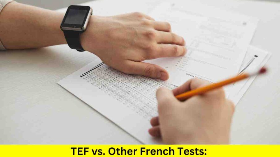 TEF vs. Other French Tests: Comparing and Contrasting